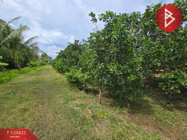 ���Թ �ԨԵ� �ǹ���