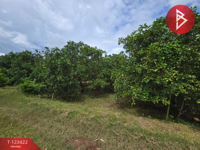 ���Թ �ԨԵ� ���ǹ