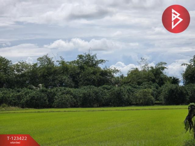 ���Թ �ԨԵ� �Ҥһ����Թ