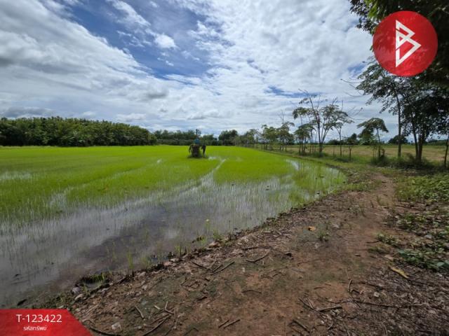 ���Թ �ԨԵ� ����ӹѡ�ҹࢵ