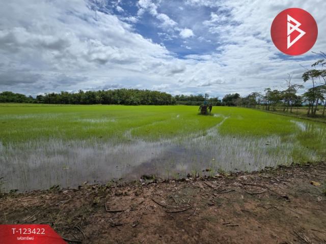 ���Թ �ԨԵ� �������ҡ�������