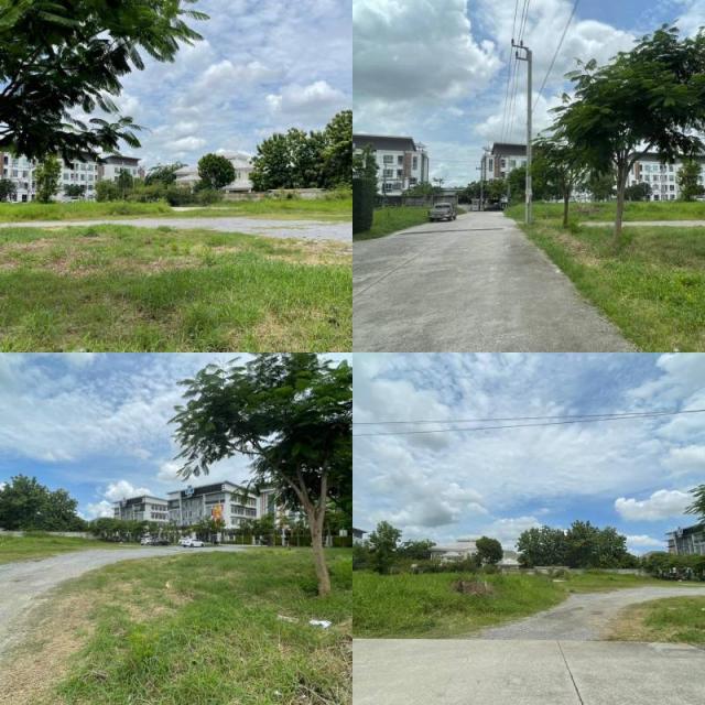 �Ҵ��кѧ �� All Living