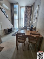 ������ �͹�