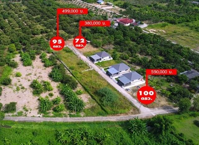 ���Թ����� ��§����