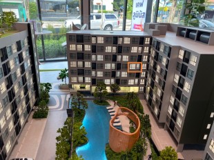 ��¤͹� ��觤��