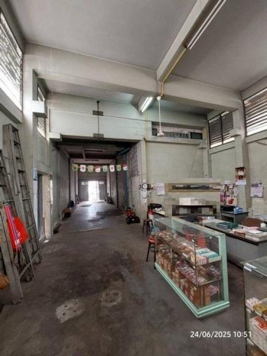 ⡴ѧ������ �����ѹ��ا෾