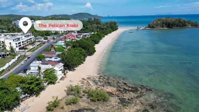 The Pelican Krabi ��� ���᤹ ��к�� �͹���Ƿ���