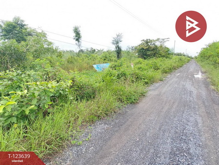 ���١�� �� The Best Property Agent