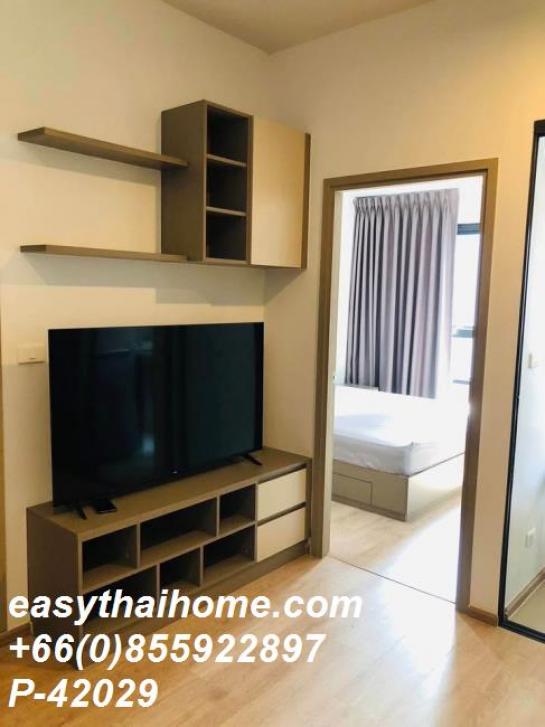 �͹���������ԧ�� ���¢�ҧ