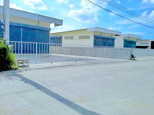 ⡴ѧ ����Ѳ��