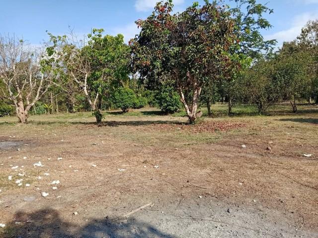 ���Թ ���