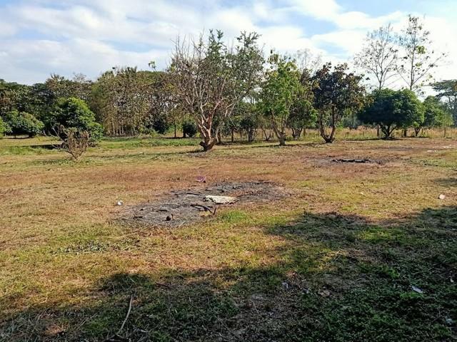 ��·��Թ ��§�ҹ ���