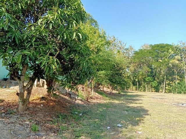 ��·��Թ ��§�ҹ ���