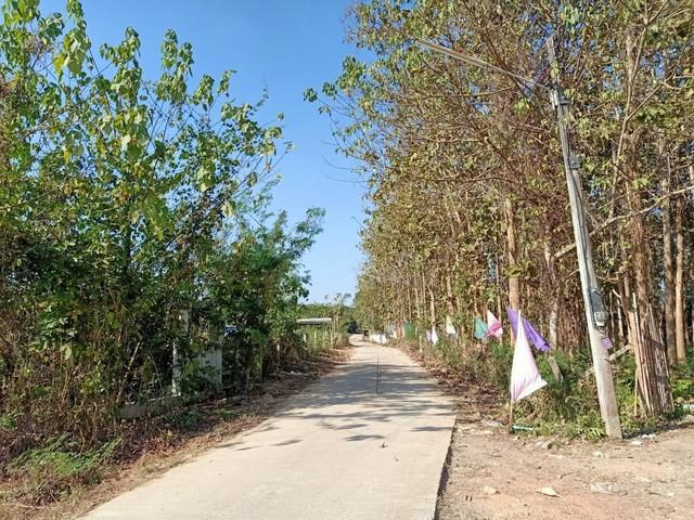 ���Թ ��� ����͹������͡