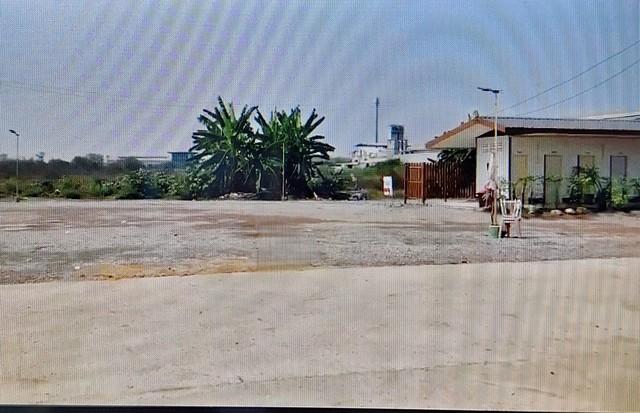 ���Թ�ù��� �������