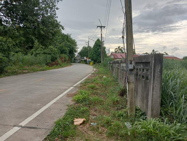 ���Թ 5 ���