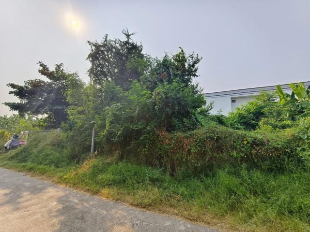 ��·��Թ ��觤�ء�ا෾