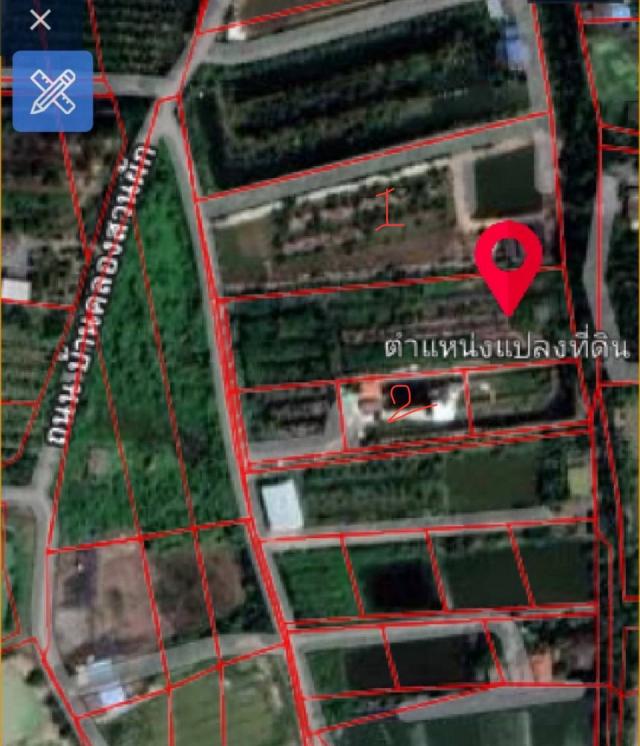 ���Թ 5 ���