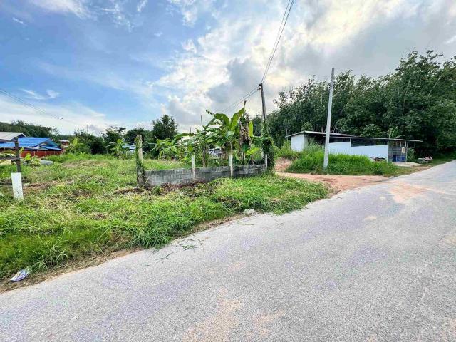 ���Թ�Ԥ��Ѳ�� ���ͧ