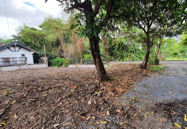 ��·��Թ �ҧ���͡�ا෾