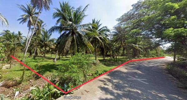 ���Թ 5 ���