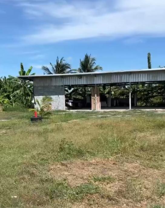 ���Թ��ᾧ�ʹ ��û��