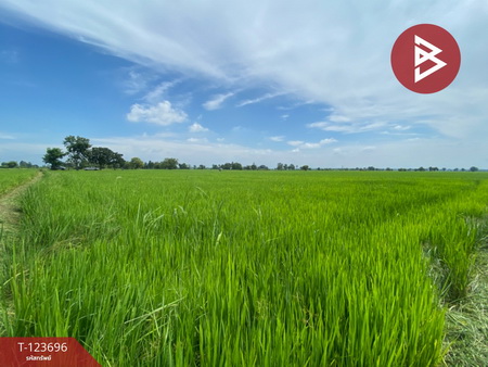 �͹�� �� The Best Property Agent