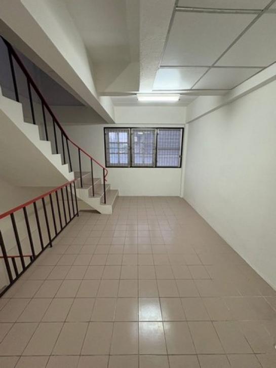 �Ҥ�þҳԪ�������� �ѹ�����