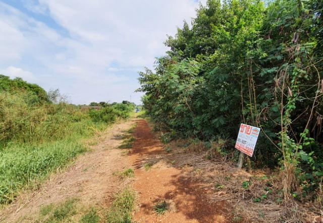 ���Թ�ù��� �������