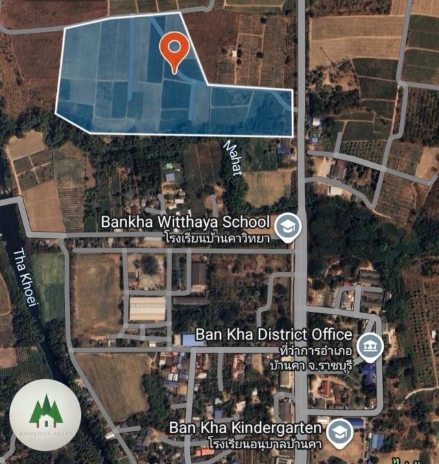 ���Թ 42 ���