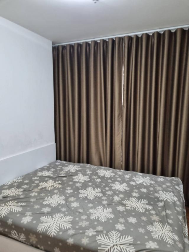 �͹����ͧ������� �������