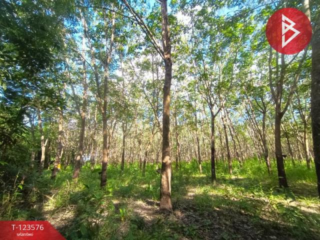 ขายที่ดิน 9,900,000 บาท ขายที่ดิน 9,900,000 บาท