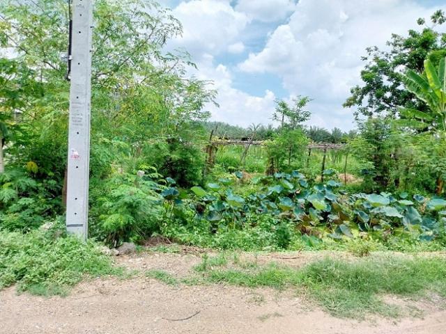 ���Թ��ͧ����� ��ا෾��ҹ��