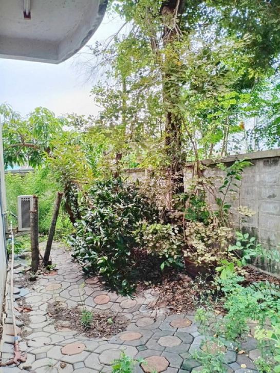 ��ǹ�������ҧ� ��ا෾��ҹ��