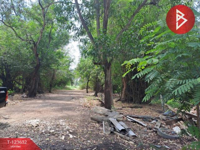 ���Թ������ �ҧࢹ