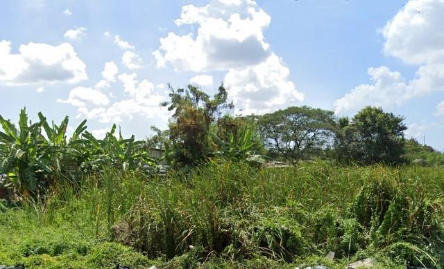 ���Թ��ͧ����� ��ا෾��ҹ��