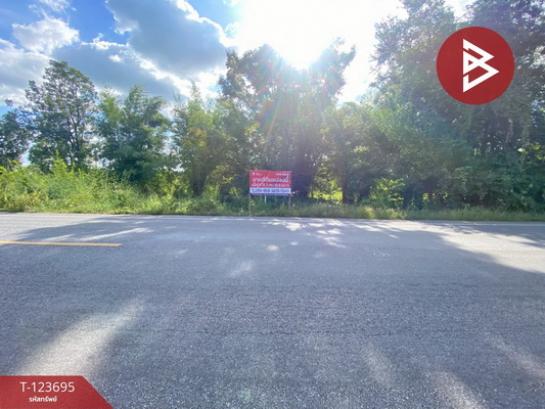 �͹�� �� The Best Property Agent