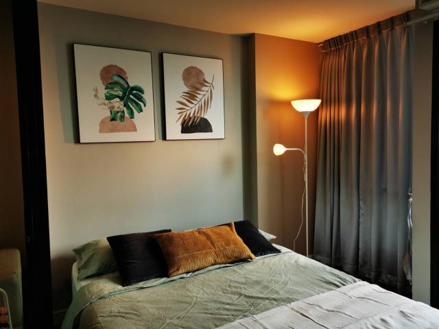 �͹��չ���� ��ا෾