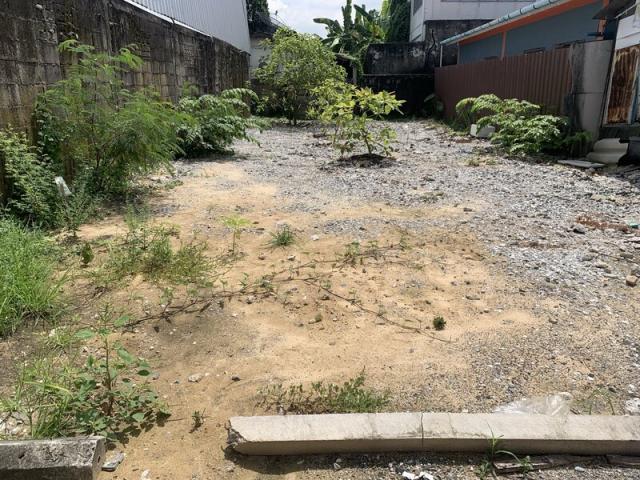 ��·��Թbts���