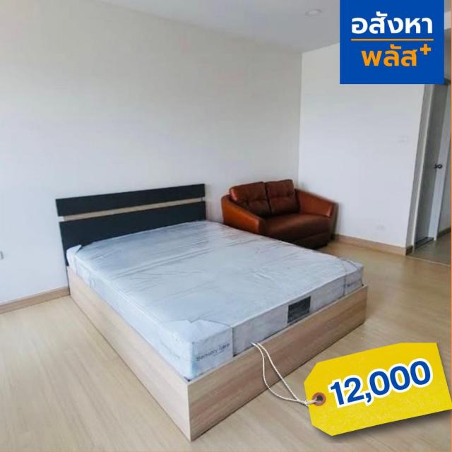 �͹ⴺҧ�л� ��ا෾��ҹ��