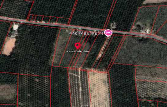 ���Թ��ͧ���� ��к��