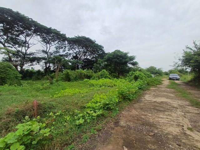 ���Թ��ᾧ�ʹ ��û��