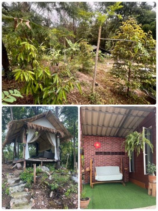 �Ҫ���� �� sopa