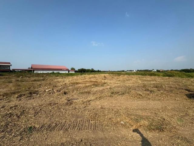 ���Թ���ͧ��ҧ�ͧ ��ҧ�ͧ