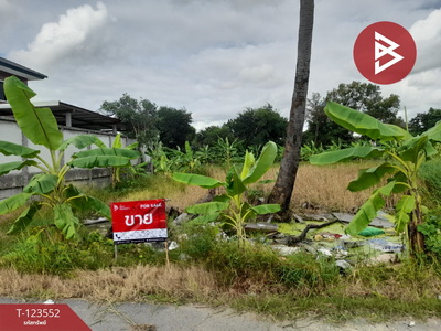 �չ���� �� The Best Property Agent