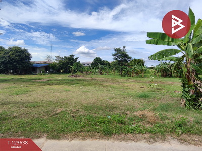 �ź��� �� The Best Property Agent