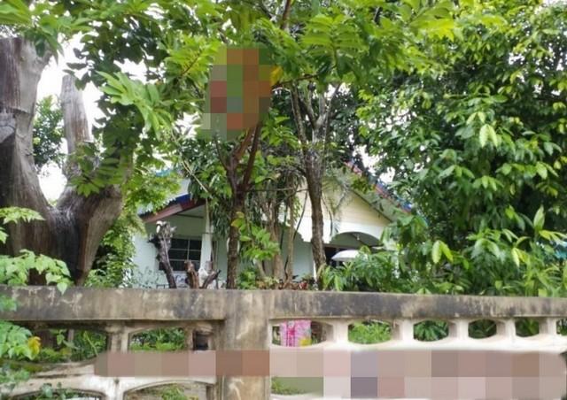 ��º�ҹ ���ͧ��ʸ���ʸ�