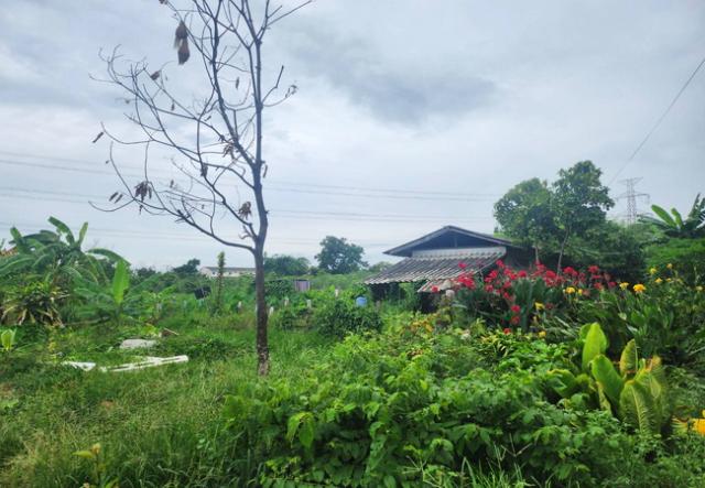 ���Թ 5 ���