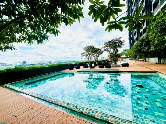 ��¤͹� �ҧ��Ѵ��ا෾