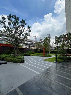 �͹����ͧ��طû�ҡ�� ��طû�ҡ��